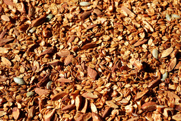 Freshly Baked Granola with Almonds, Walnuts, Seeds. Homemade Granola Closeup Background.	