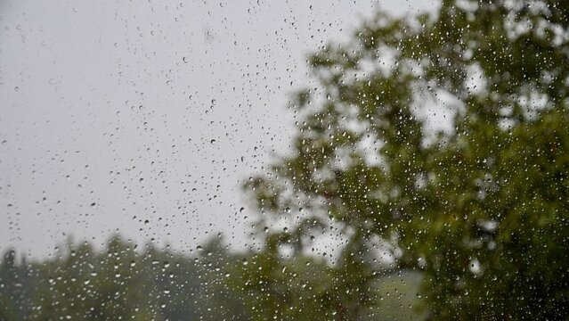 Fototapeta Rain drops on window, rainy day in early autumn