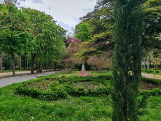 Park landscape with circular flowerbed and trees