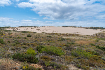 Hügellandschaft in der Wanderdüne Duna de Cresmina, Portugal