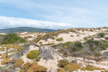 Überblick über die Wanderdüne Duna de Cresmina, Portugal