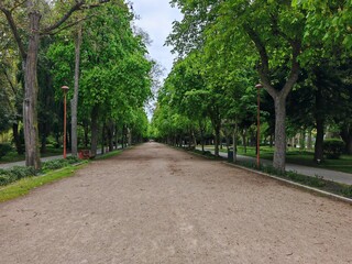 Wide sandy path in green park with trees