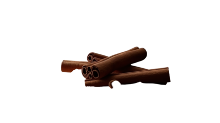 Close-up of cinnamon sticks (1)