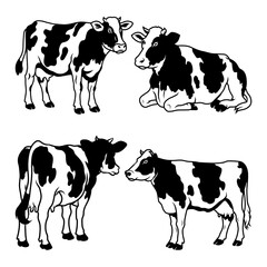 Black and White Cow Vector Illustration Set