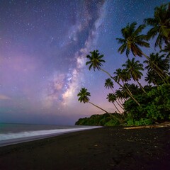 Milky Way over a tropical beach at night