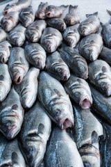 Fresh fish displayed on market stand for sale