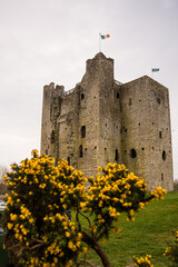 Trim Castle with clouds over green grass and yellow flowers