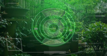 Bonsai tree sitting in rectangular pot on wooden table in backyard garden, with holographic overlay