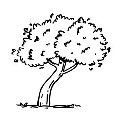 Leafy tree isolated on a white background. Landscape sketch. Vector hand-drawn illustration in outline style. Perfect for cards, decorations, logo, nature-themed designs.