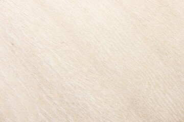 Obraz premium Wood Digital Paper