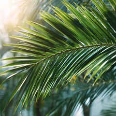Vibrant green tropical palm leaf bathed in warm sunlight, lush nature background and natural beauty