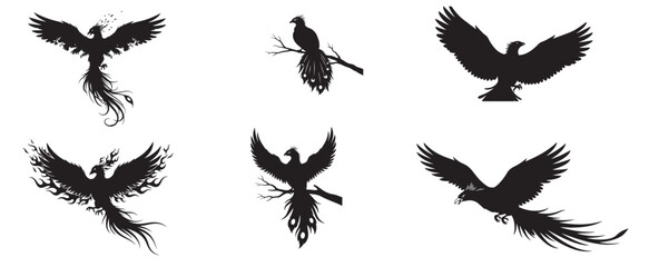 Phoenix bird, rising from ashes, rebirth, resurrection, fire, flames, mythology, fantasy, immortality, renewal, hope, strength, transformation, isolated vector