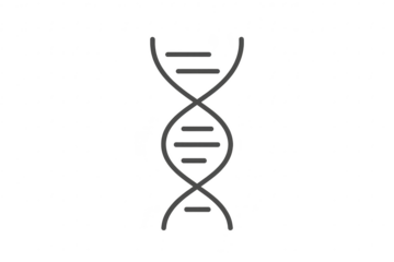 Stylized DNA strand isolated on a transparent background, minimalist icon