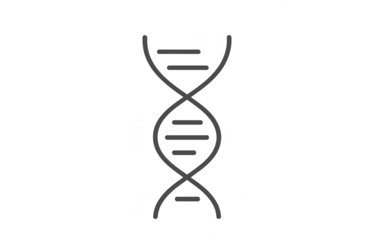 Stylized DNA strand isolated on a transparent background, minimalist icon - Powered by Adobe