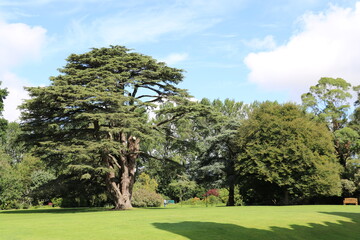 Les magnifiques jardins de Malahide avec leurs fleurs colorées, près de Dublin