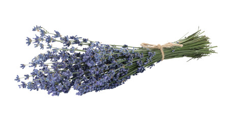 Bouquet of lavender flowers, isolated on transparent background, full focus stacking for sharp detail, vibrant color, and natural floral texture © rvlsoft
