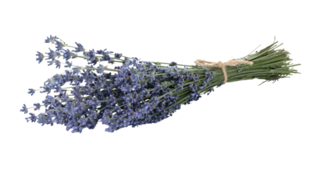 Bouquet of lavender flowers, isolated on transparent background, full focus stacking for sharp detail, vibrant color, and natural floral texture