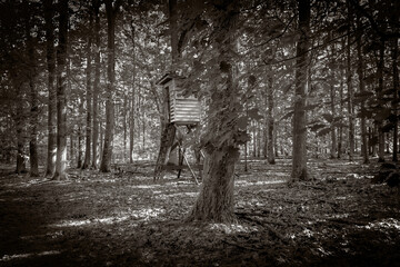 Hochsitz im Wald. Als Schwarz Wei&szlig; Aufnahme.