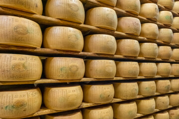 Traditional production process of Parmigiano-Reggiano hard cheese in Parma, Italy