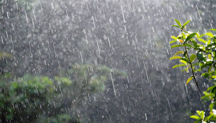 Heavy Rain Falling Through a Lush Green Forest
