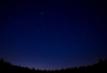 Serene Night Sky Over Silhouetted Trees