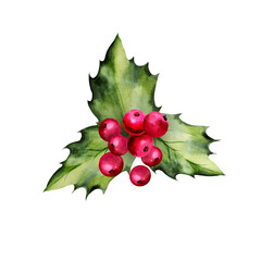 watercolor realistic holly branch, red berries, green leaves, Christmas symbol, hand drawn sketch of green part of plant with berries, natural composition, winter illustration for Christmas decoration