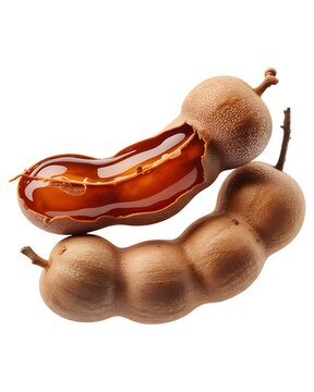 Ultra detailed close-up fresh tamarind pods food ingredient tropical fruit exotic