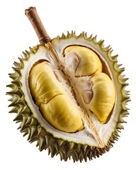 Close up of fresh ripe durian fruit cut open revealing creamy yellow flesh