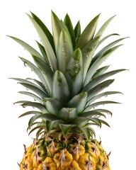 Fototapeta premium Ultra detailed close up of fresh pineapple top showing crown and fruity texture