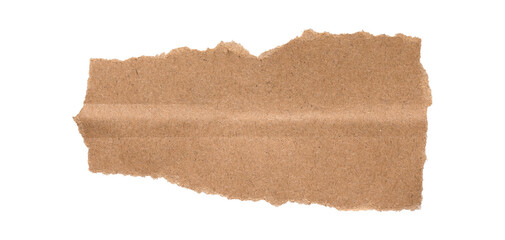 torn or ripped kraft paper isolated on transparent png background,realistic torn cardboard paper...