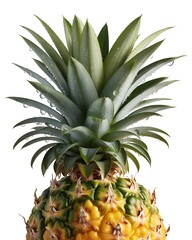 Fototapeta premium Ultra detailed close-up of a fresh ripe pineapple top with green leaves and textured skin