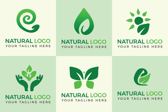 Six natural green logo designs with text on light green background leaf nature - Powered by Adobe