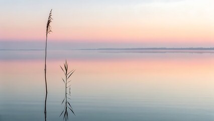 Tall grasses in a calm lake under a soft sky. Suitable for naturethemed designs and print materials.