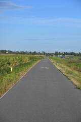 Beautiful new asphalt road for walking and cycling surrounded by nature
