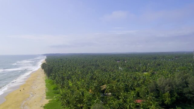 Aerial drone shot flying over golden sands of Kappil beach bekal with waves crashing and palm coconut trees on the side with a blue sky overhead showing god's own country Kerala