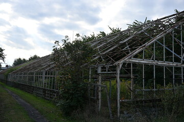 Obraz premium Rusty old greenhouse structure 