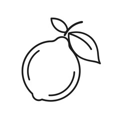 vector illustration of apple and pear