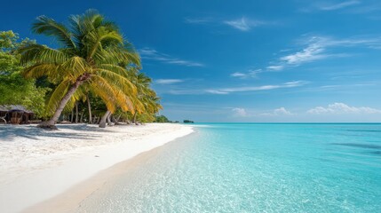 Fototapeta premium Tropical Paradise Beach with Clear Blue Water and Palm Trees under a Bright Sky
