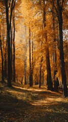 Autumn forest path with vibrant orange leaves