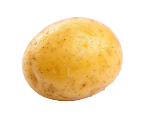 Origins of nourishment shine in this single whole potato, captured in natural raw state with subtle organic detail and readiness for countless kitchen transformations