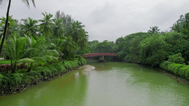 aerial drone shot flying forward over backwater lagoon canal river in Kerala, India surrounded by palm coconut trees and filled with green water showing the unique feature integral to local life