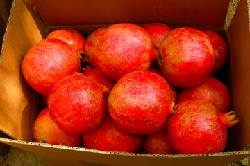 Afghan Pomegranates