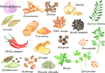 ハーブとスパイスの水彩ベクターイラストセット