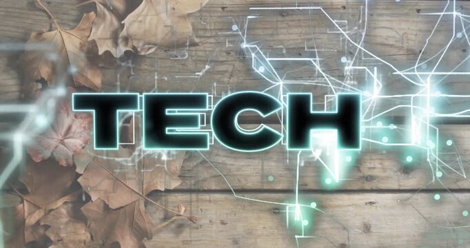 Glitchy digital strokes entering right tracing cyan circuits pulsing TECH logo showing tech theme