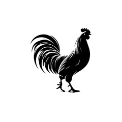 Realistic Hen Vector Illustration – Farm Poultry Design