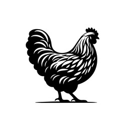 Beautiful Hen Vector Illustration – Countryside Farm Bird