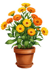 Vibrant Gouache Illustration of a Single Red Poppy Flower, Isolated on White Background png alpha channel isolated on transparent background