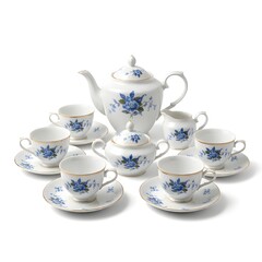 Elegant porcelain tea set with blue floral design