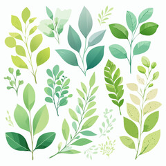 Eine Serie organischer Blatt- und Pflanzenillustrationen