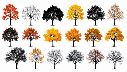Autumn Trees Collection of Colorful Fall Foliage Illustrations